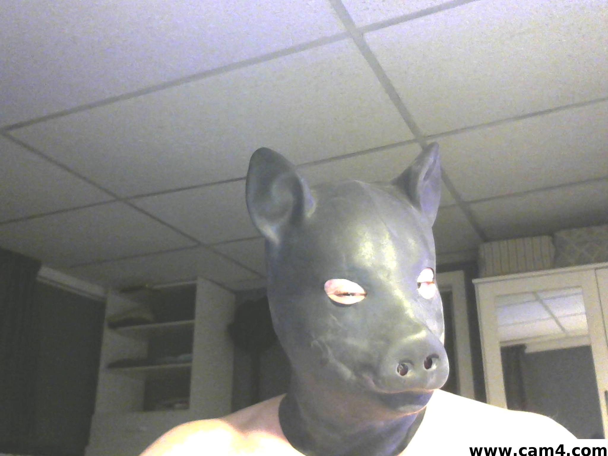 bandedinme Profile Image