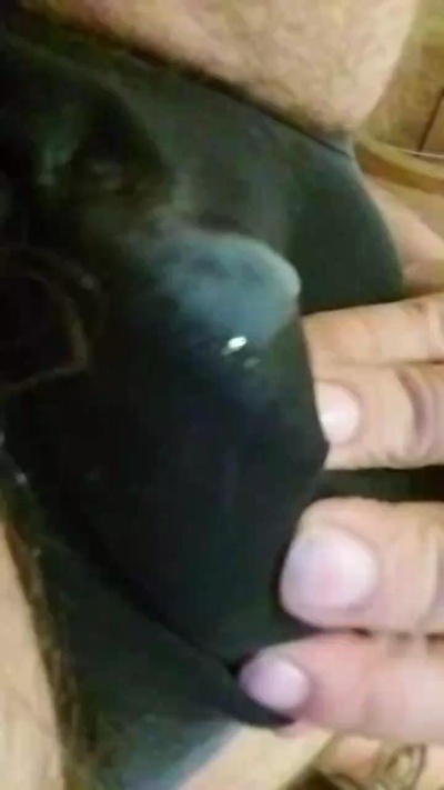 nosf2 from Italy