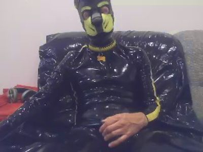 puppy_tomik from Czechia
